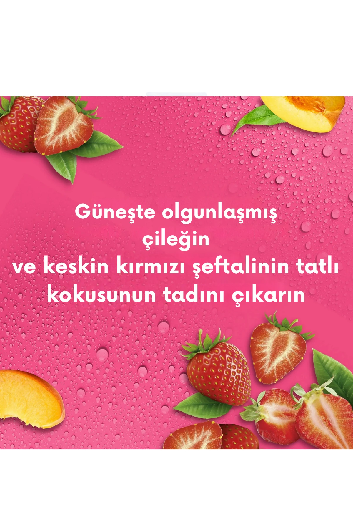 Suave Essentials Shine Shampoo (Güneşte Olgunlaşmış Çilek) Şampuan Family Size 887ml