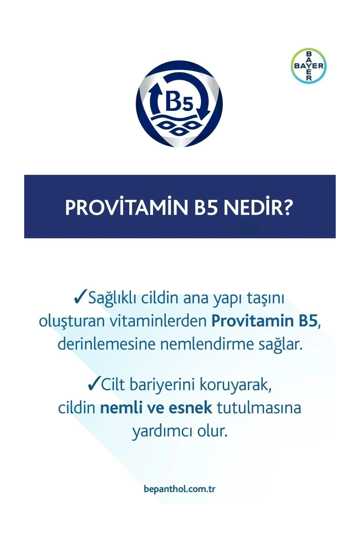 Bepanthol Onarıcı Bakım Merhemi 50 gr + Bepanthol Cilt Bakım Kremi 30 gr