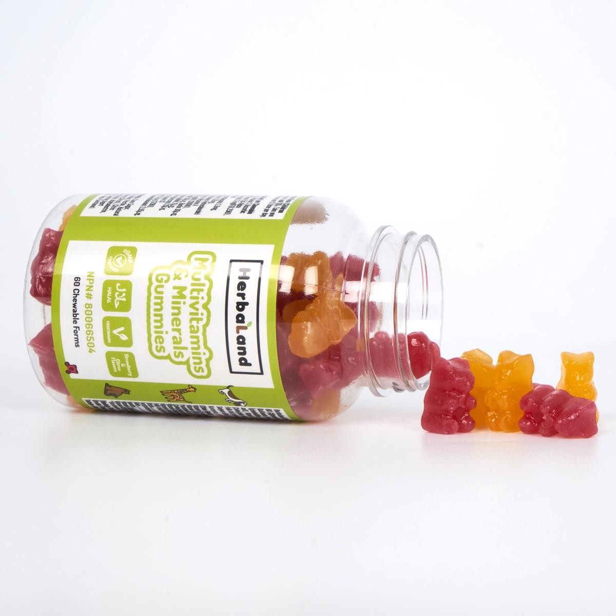 Herbaland Kids Multivitamin ve Minerals (Çiğnenebilir Form) 60 Adet