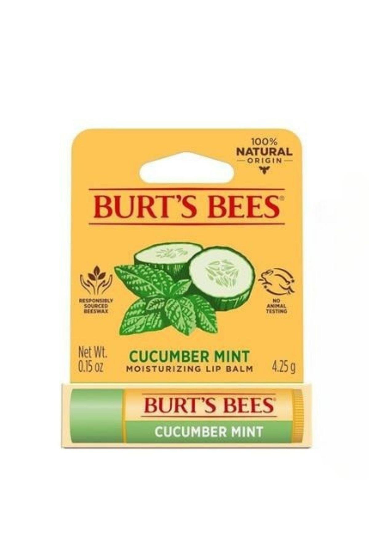 Burt's Bees Cucumber Mint Salatalık ve Nane Aromalı (Renklendiricisiz, Doğal Kökenli) Lip Balm 0.15 Oz 4.25 gr