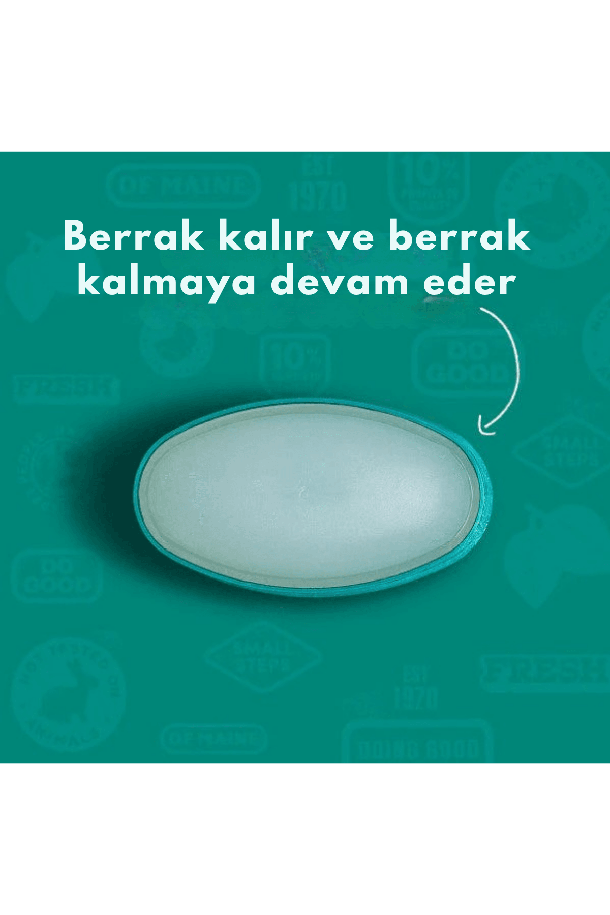 Tom's of Maine Mountain Spring (Dağ Baharı) Deodorant Stick 92 gr 