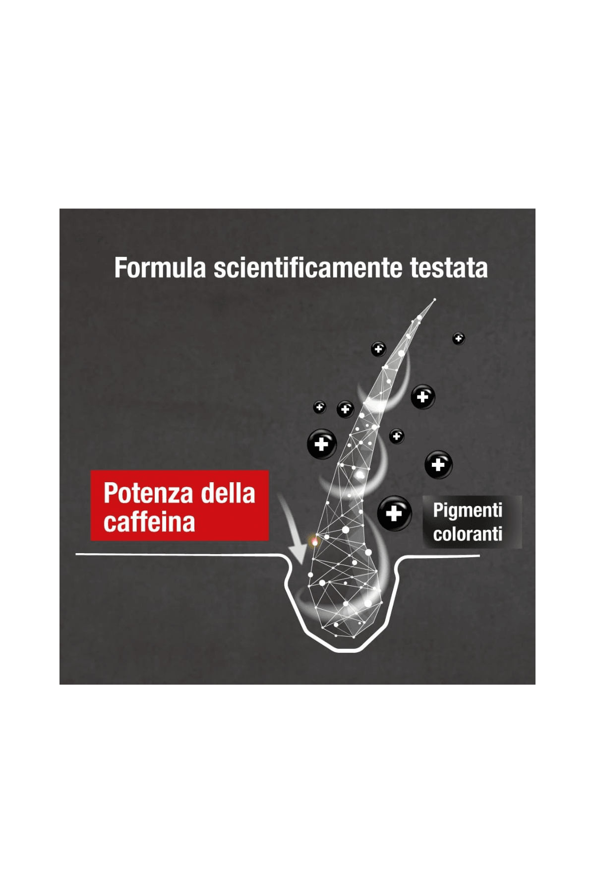 Alpecin Grey Attack Caffeine & Colour (Daha Az Gri İçin Doğal Görünüm) Kademeli Saç Koyulaştırma Şampuanı 200ml