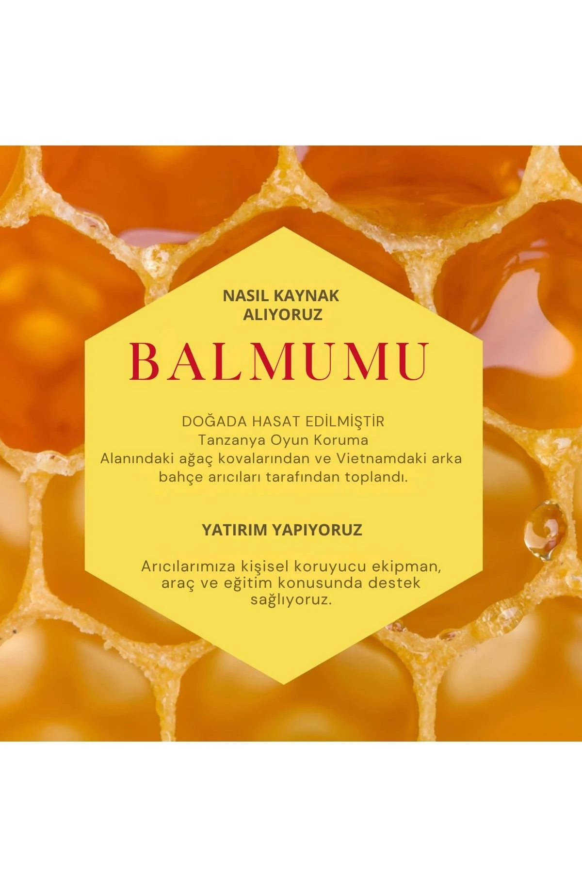 Burt's Bees Vanilla Bean (%100 Doğal) Dudak Balsamı 4.25g