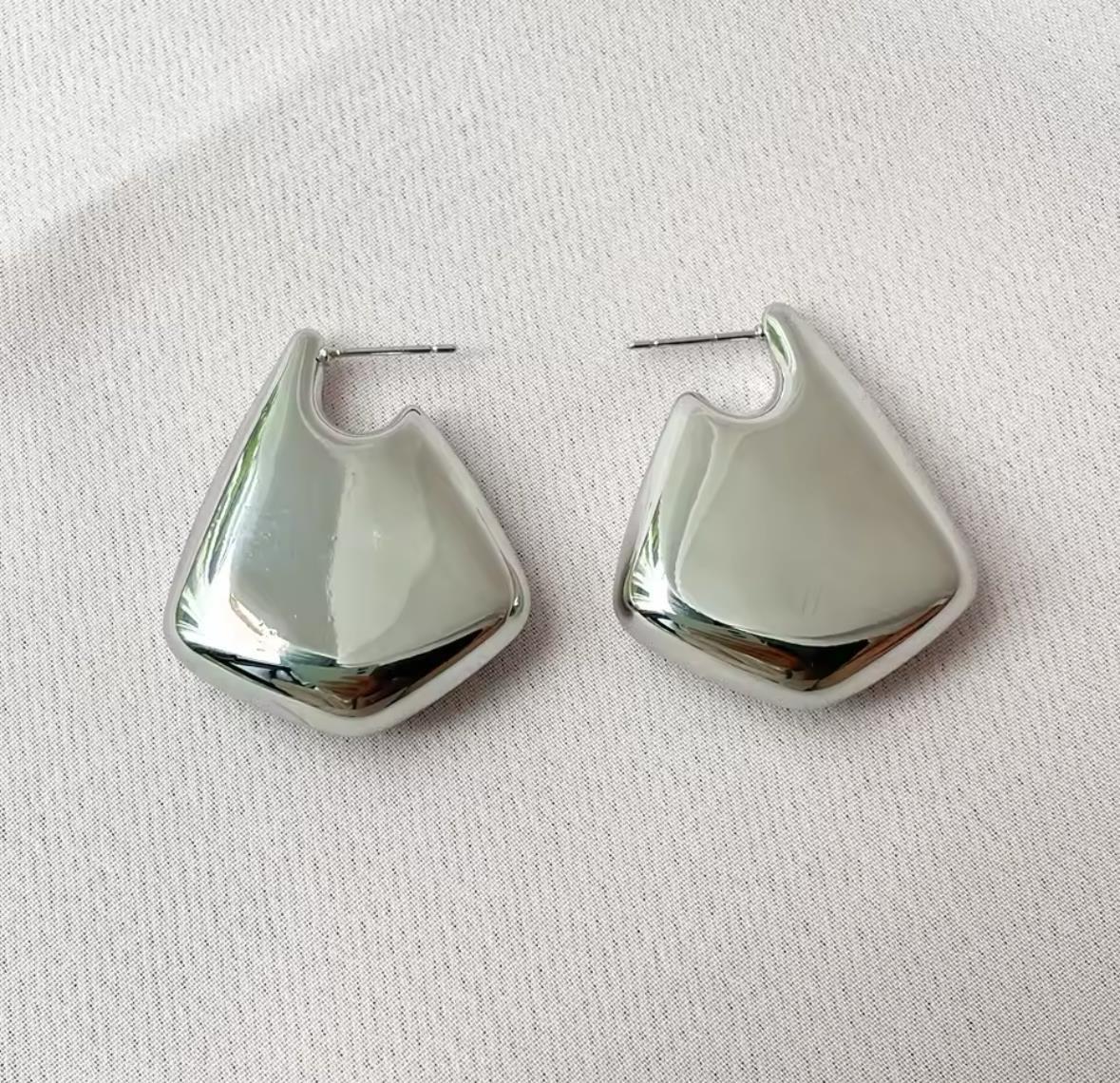 Çelik Fin Küpe SILVER