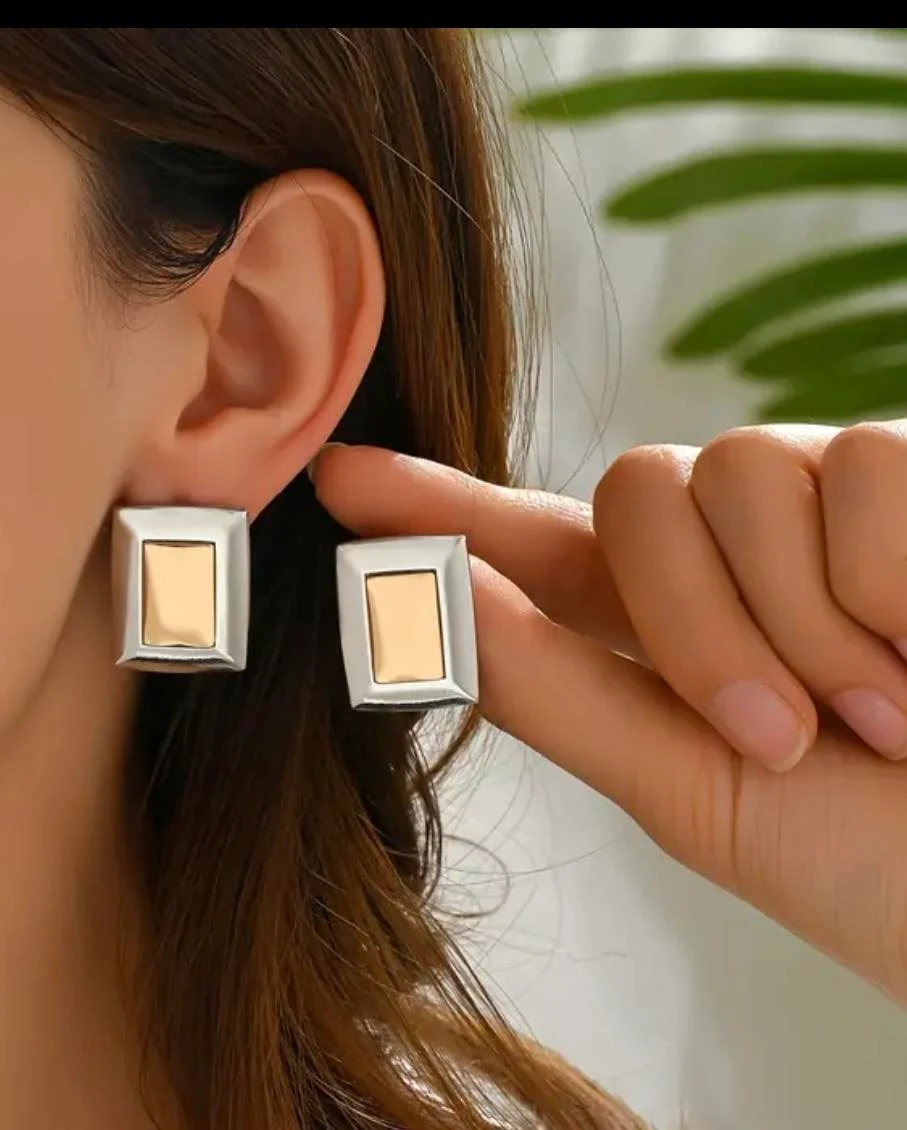 çelik gianna iki renk küpe