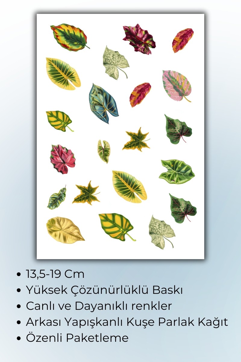 Birikiyedi Çiçek-Yaprak Temalı 3 'Lü Set Sticker Planner Ajanda Bullet Journal Için Uygun Set
