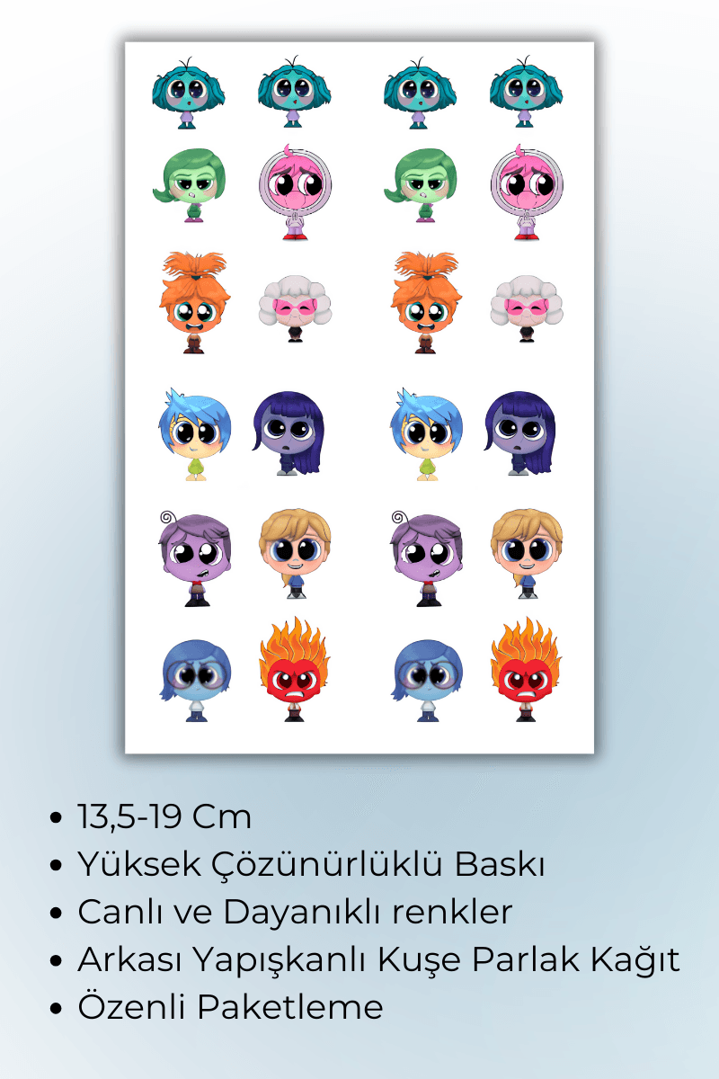 Birikiyedi Ters Yüz 2 Li Set Telefon Laptop Notebook Tablet Defter Matara Stiker Etiket