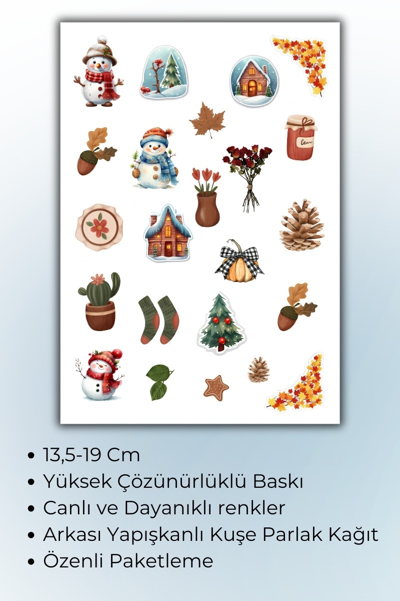Birikiyedi Kış Temalı Sticker Planner Ajanda Bullet Journal Için Uygun