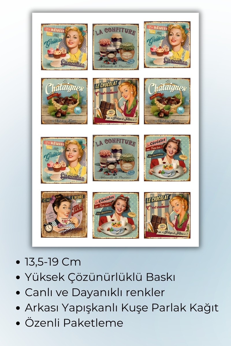 Birikiyedi Vintage Temalı Planlayıcı Sticker Planner Ajanda Bullet Journal İçin Uygun