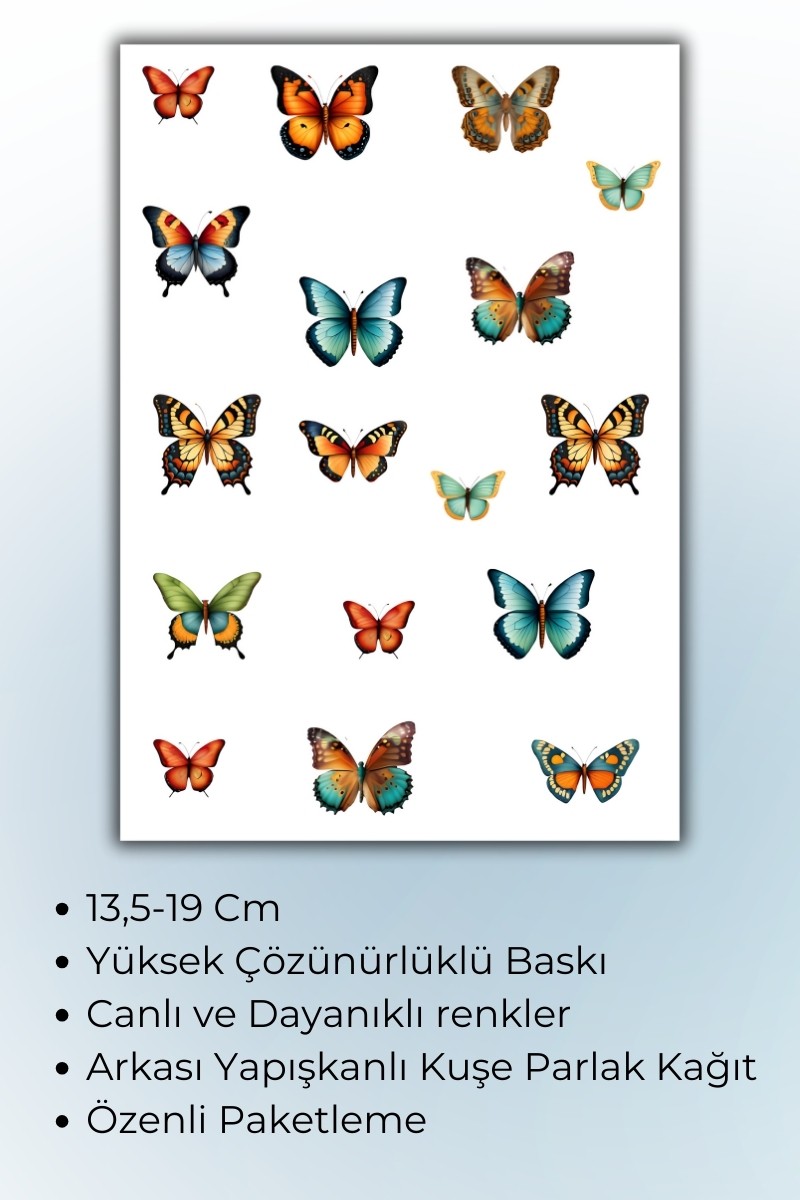 2'Lİ Kelebek Temalı Sticker Seti Ajanda Planlayıcı Bullet Journal Için Uygundur