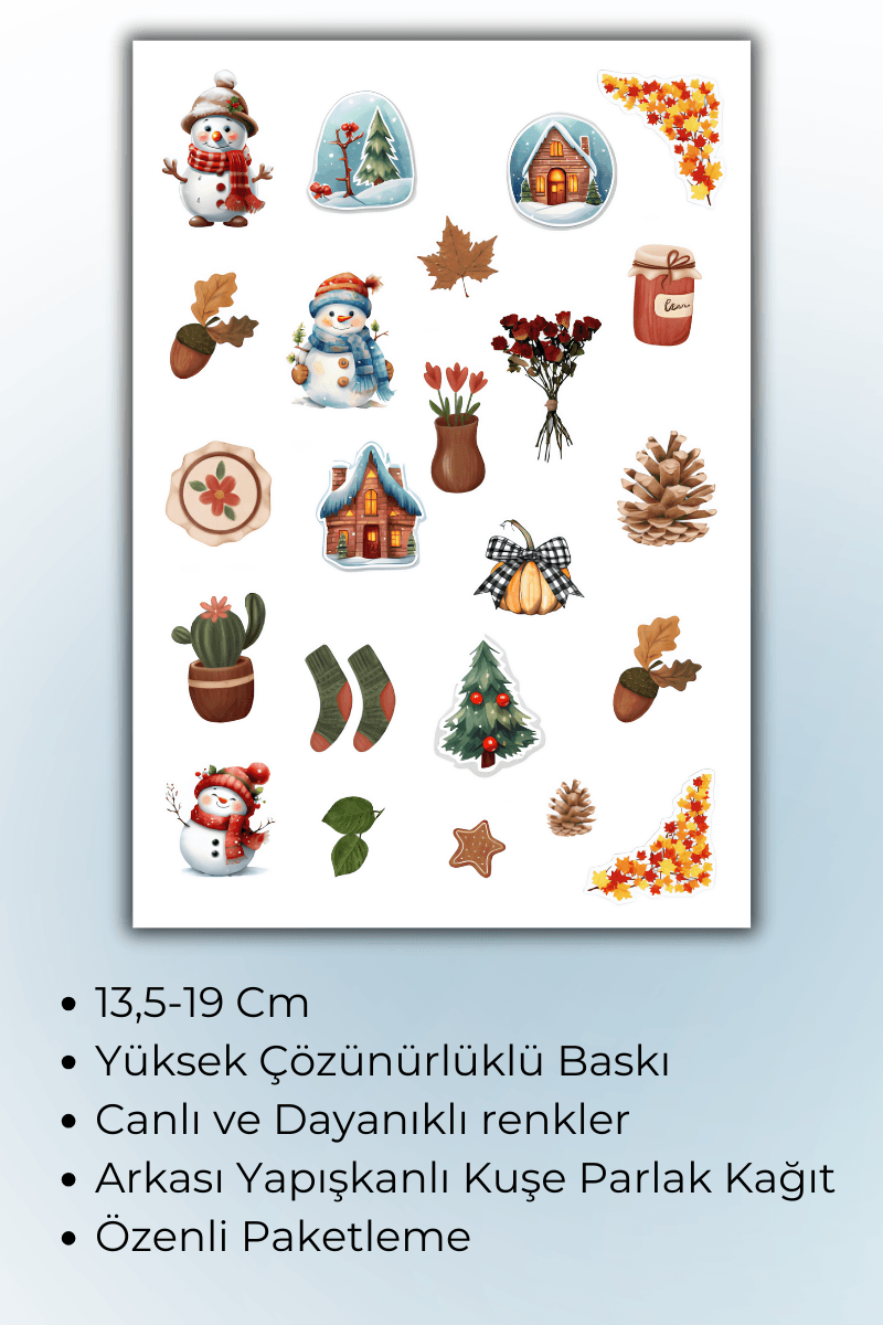 Birikiyedi Sonbahar-Kış Temalı 3'Lü Sticker Planner Ajanda Bullet Journal Için Uygun Set