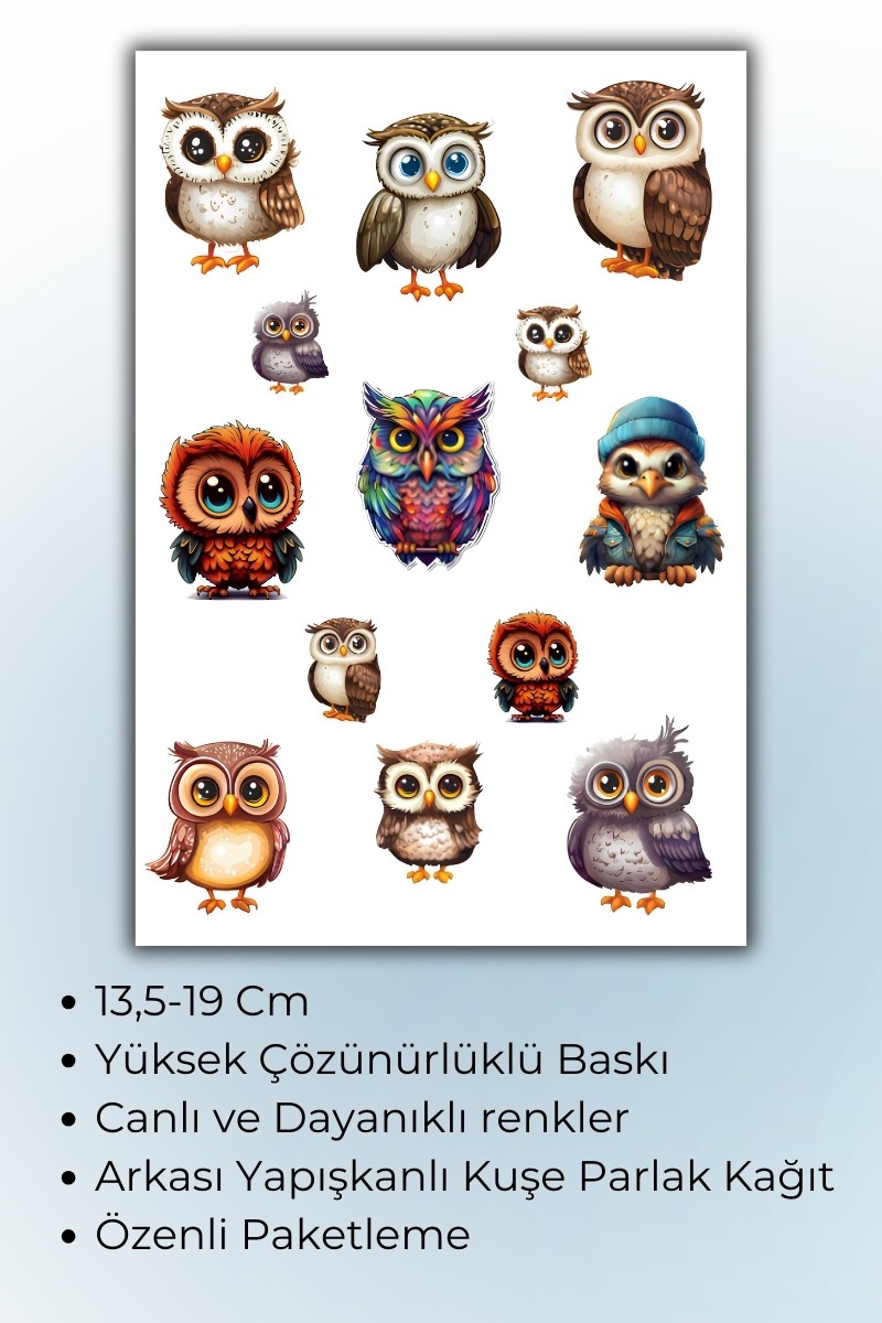 Birikiyedi Baykuş Temalı 3 Lü Sticker Seti / Bullet Journal Scrapbook Kolaj için uygun
