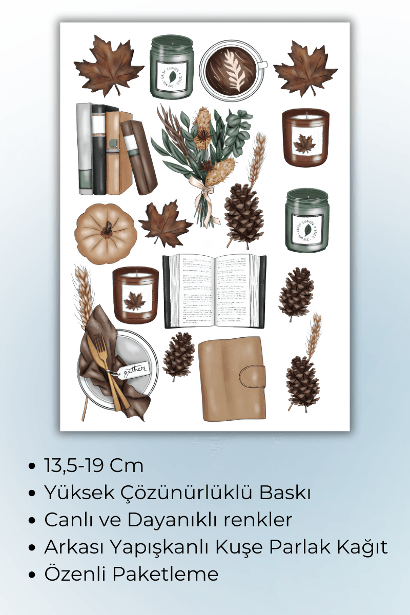 Birikiyedi 5'li Vintage Sticker Planner Ajanda Bullet Journal İçin Uygun Set