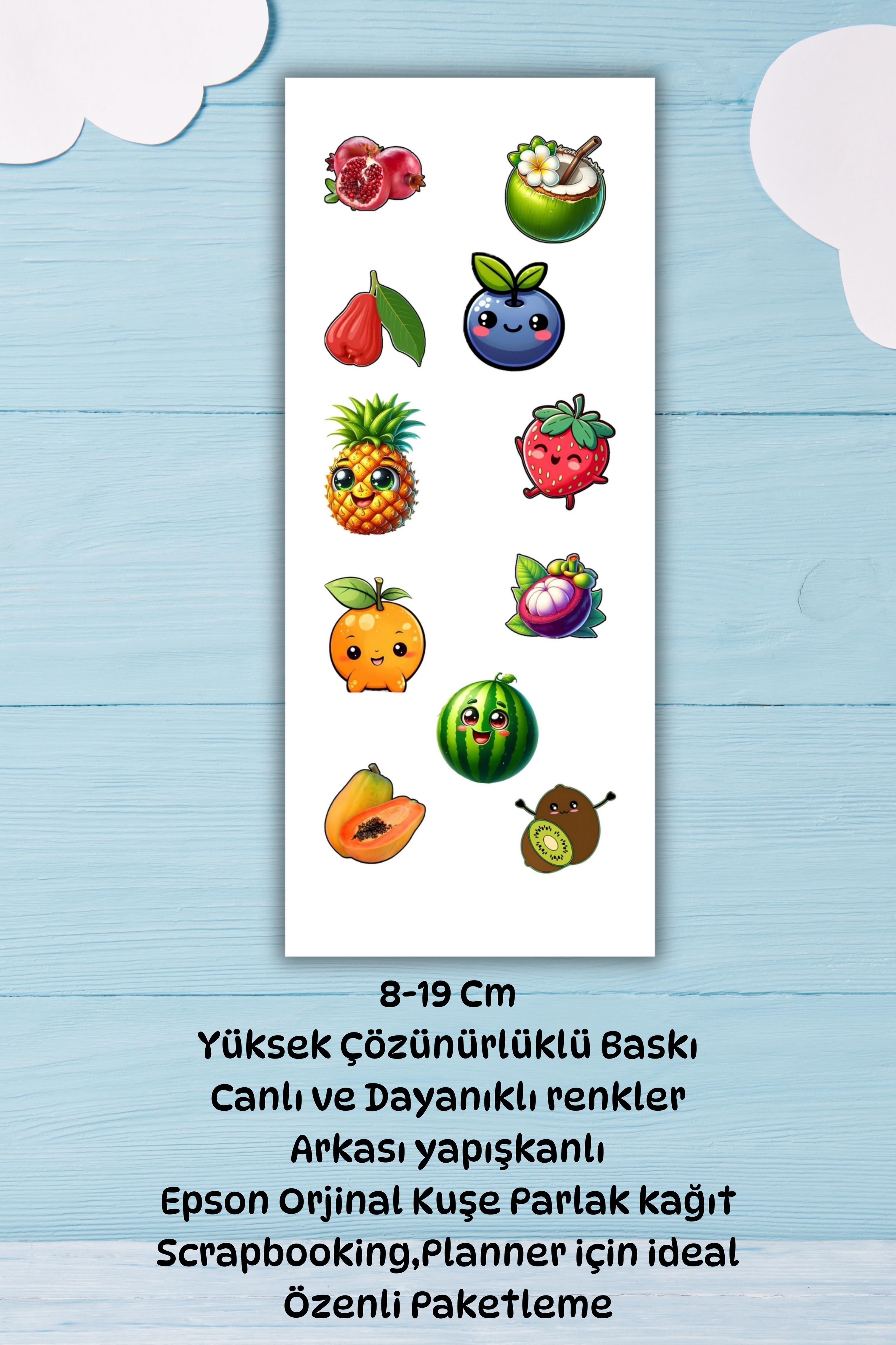 3 ' Lü Sevimli Meyveler Seti Planner/ Ajanda /Bullet Journal / Laptop/Matara/Kulaklık İçin Uygun Set