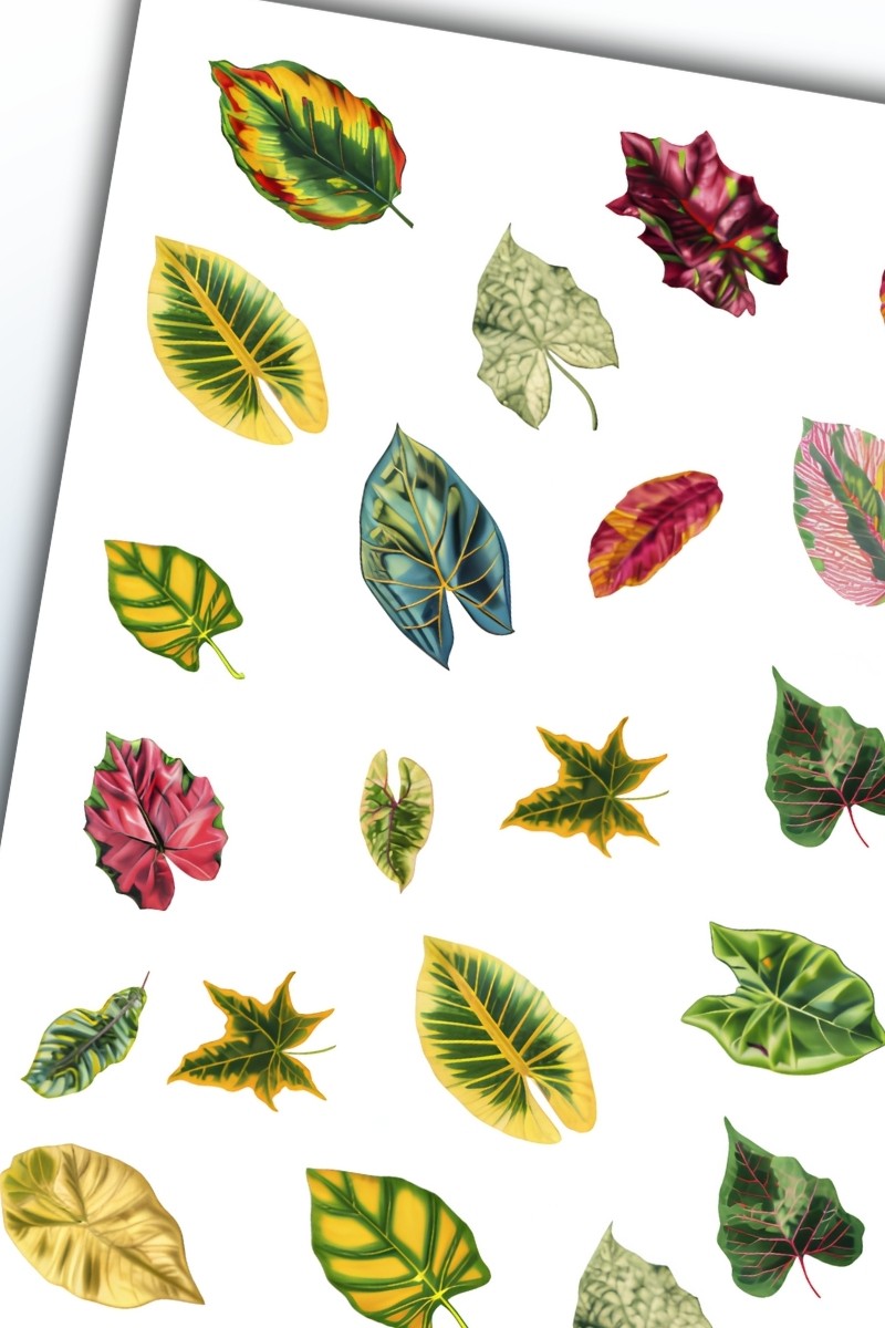 Birikiyedi Yaprak Temalı Sticker Planner Ajanda Bullet Journal Için Uygun