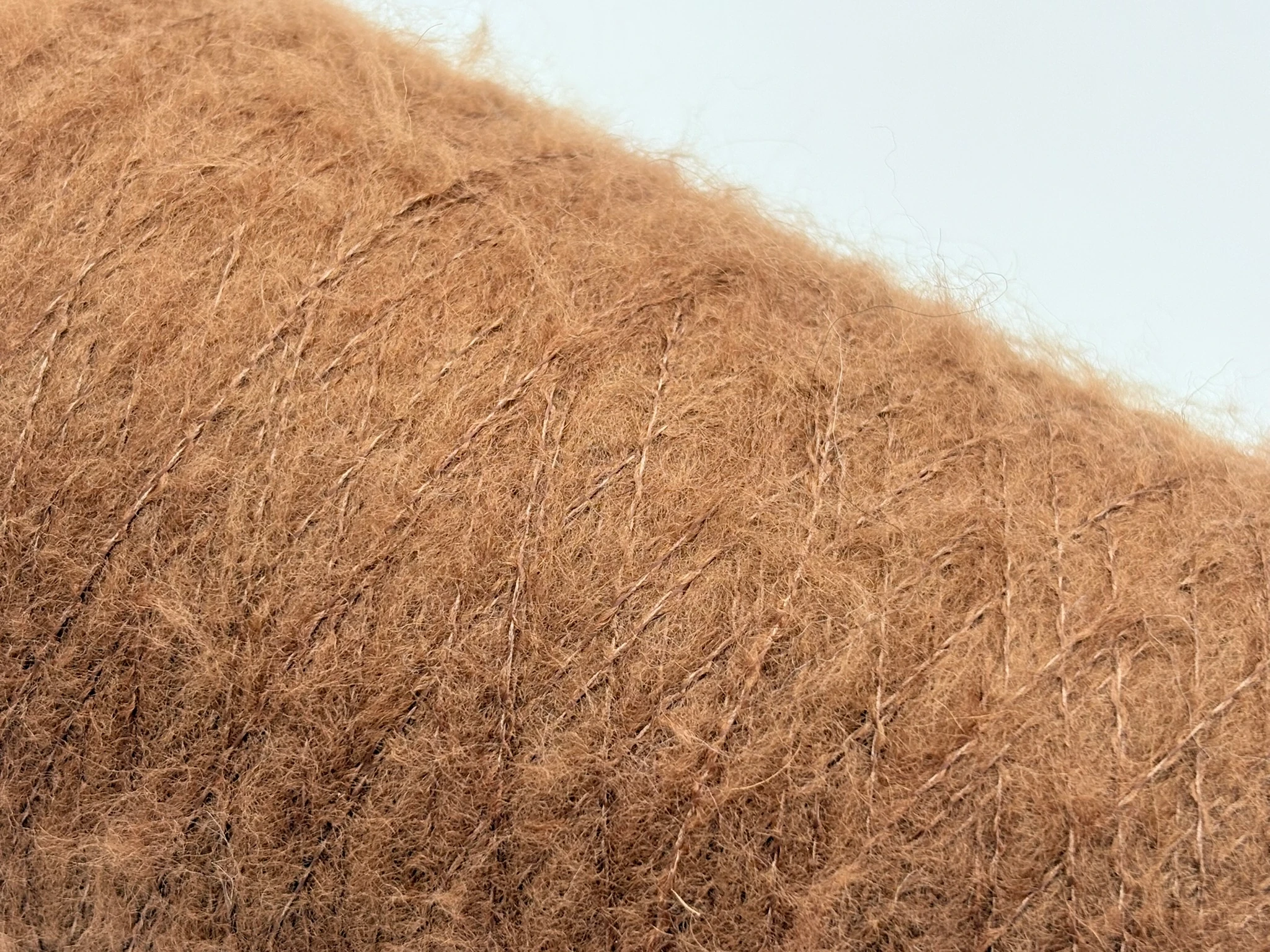 Ileria Calenzano - Sampei 