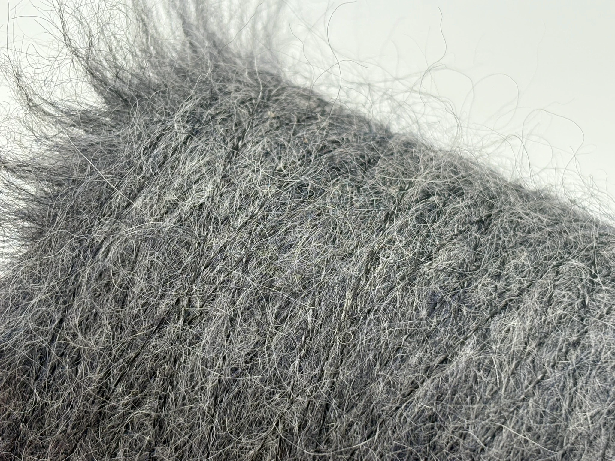 Lineapiu Italia - Camelot 