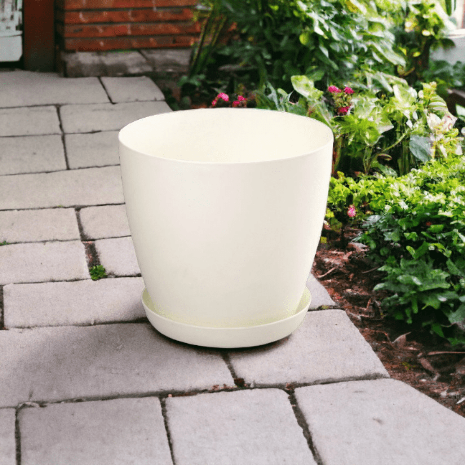 Begonia Flower Pot 22 Liter Large Size Begonia Flower Pot Decorative Begonia Flower Pot