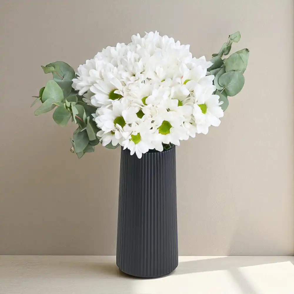 Siyah Çizgili Vazoda Beyaz Papatyalar