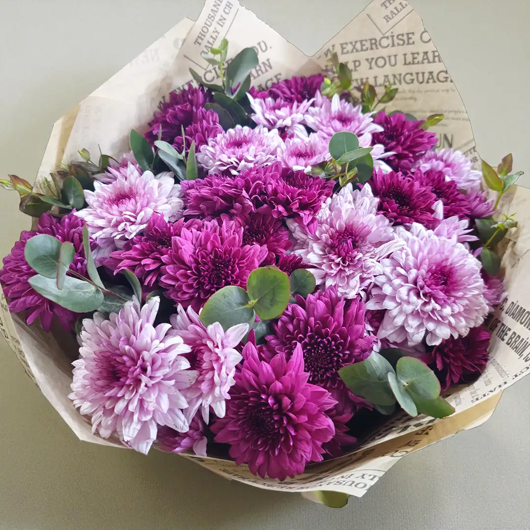 Gazete Desenli Tasarım Bukette Mor & Fuşya Kasımpatı (Krizantem)