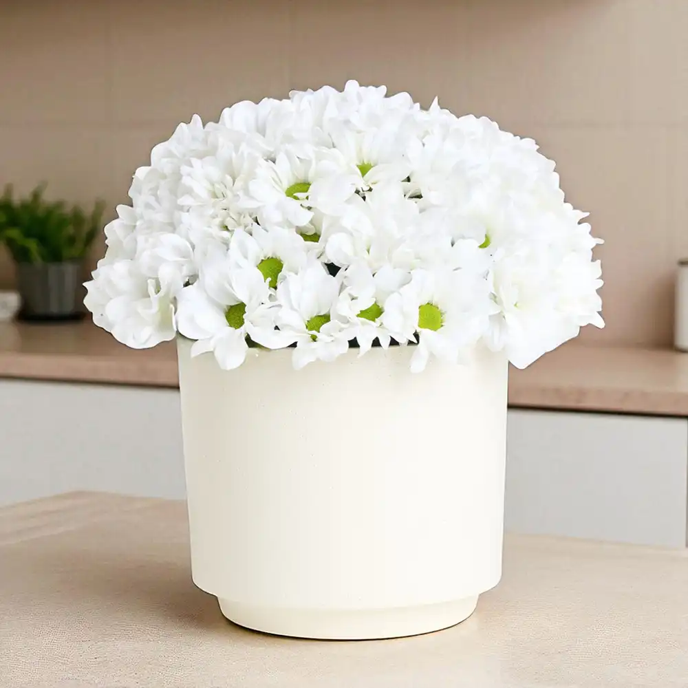 Beyaz Papatya Aranjmanı