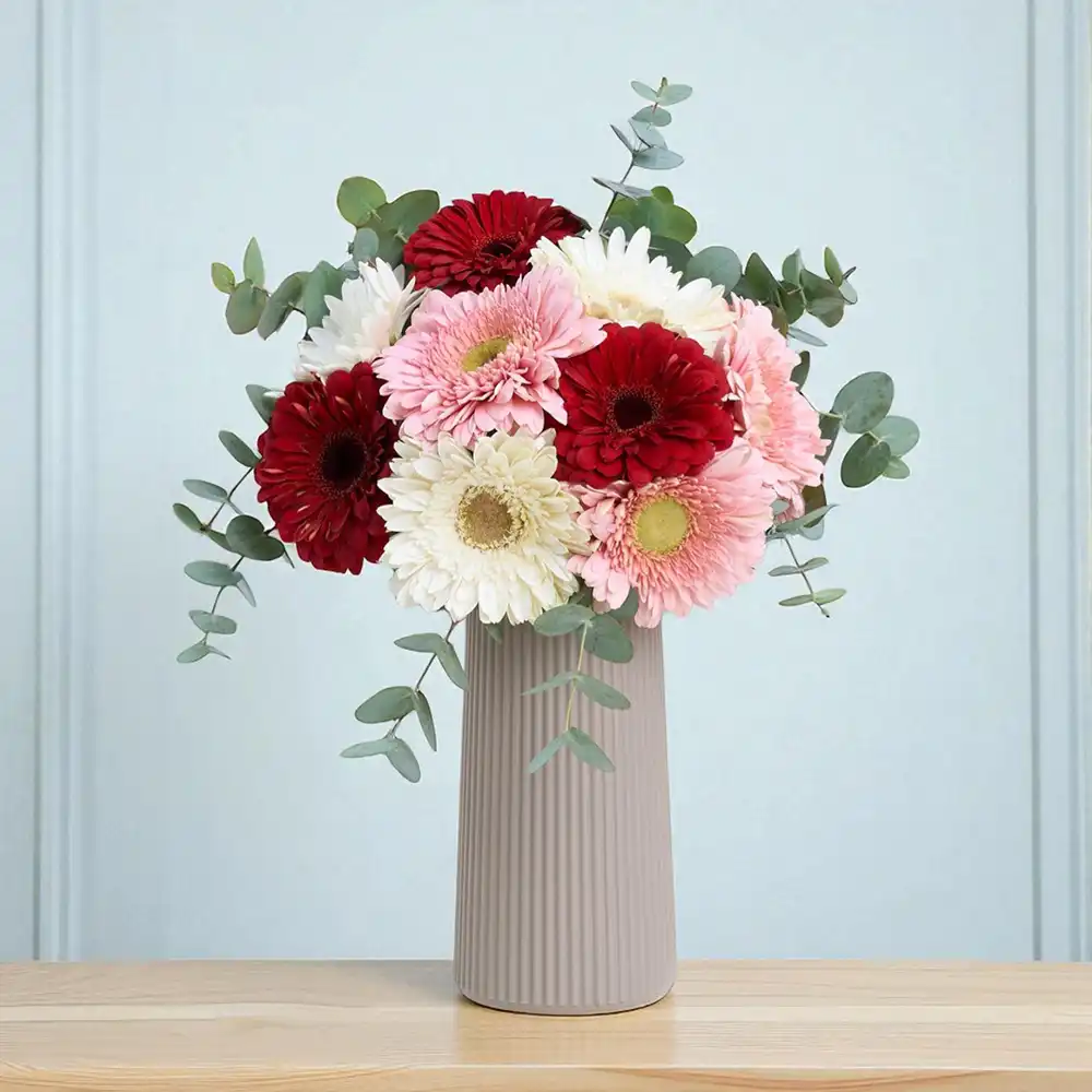 Bej Çizgili Vazoda Pembe & Beyaz & Kırmızı Gerbera