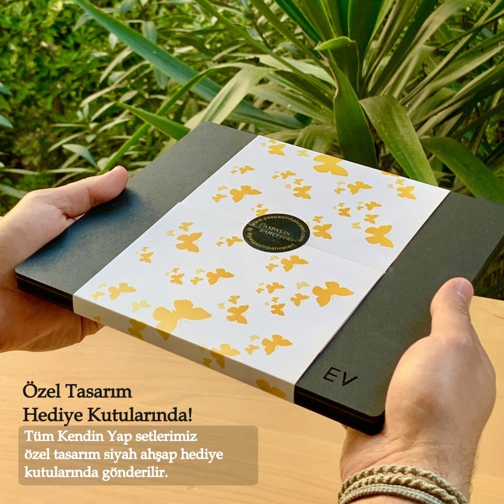 MİNYATÜR KAPSÜL EV – KENDİN YAP MAKET EV SERİSİ