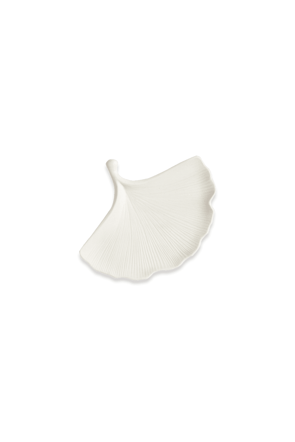 Ginkgo Tabak