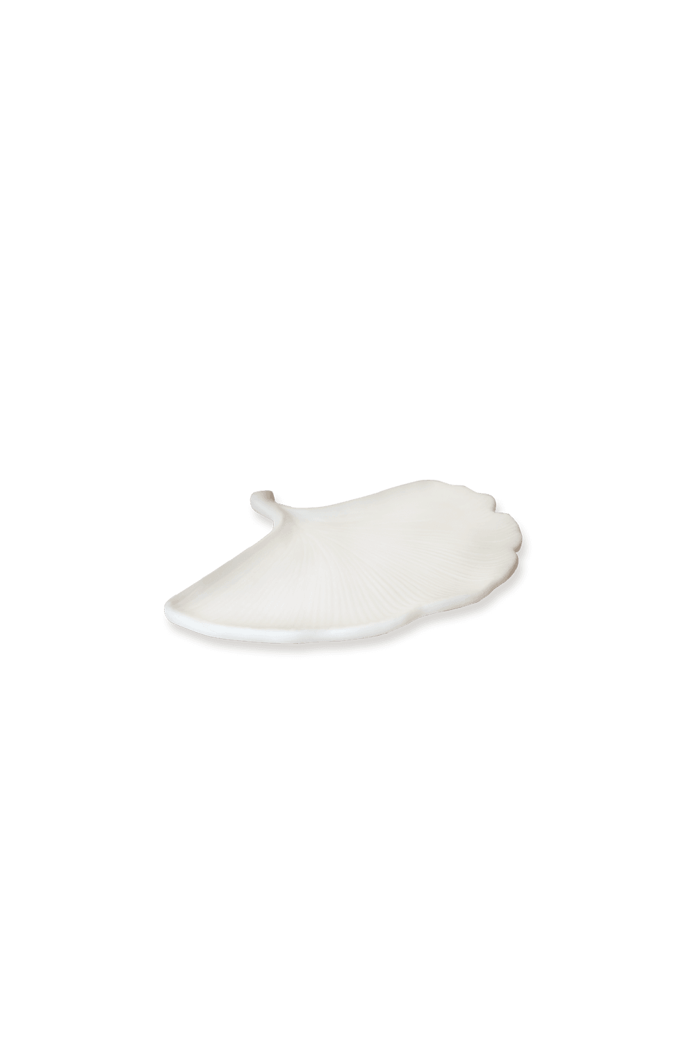 Ginkgo Tabak