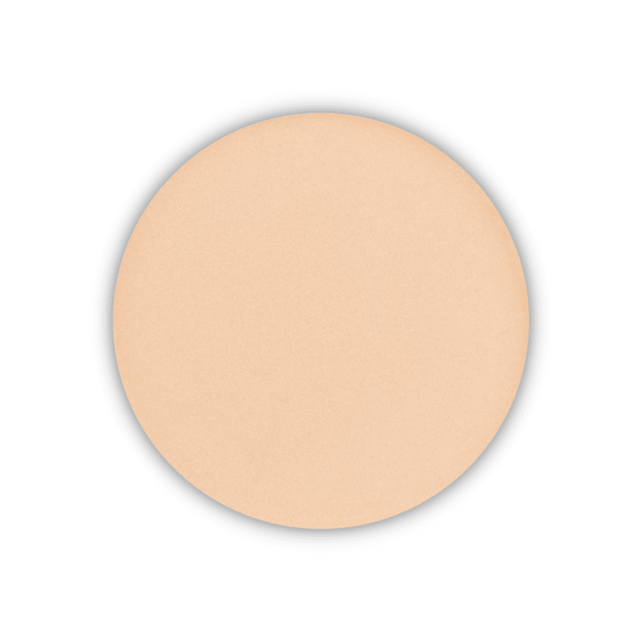 Pastel Beauty Filter Fixing Powder 11gr-Pudra 01