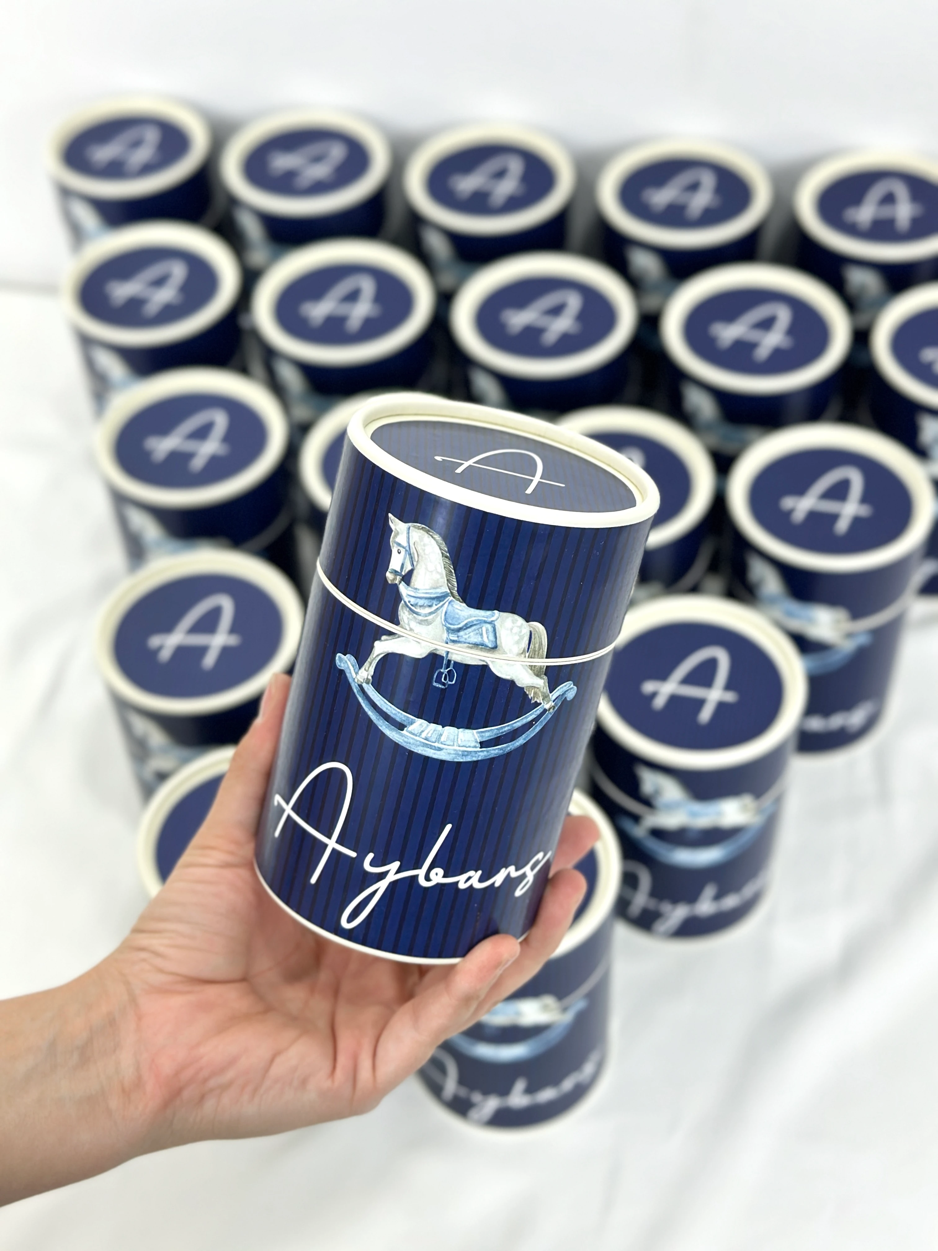 Silindir Kutu Hediyelik Atlı Karınca Temalı