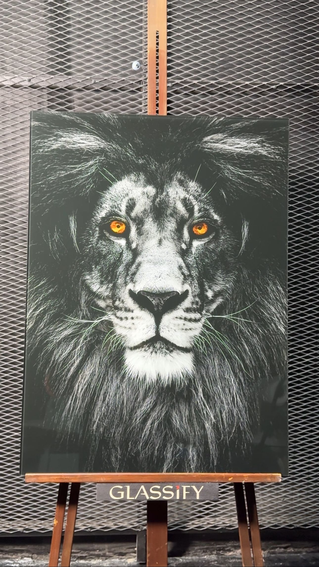 Turuncu Gözlü Aslan Cam Tablo