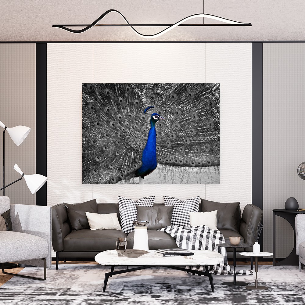 Mavi Tavus Kuşu ve Siyah-Beyaz Tüyler Cam Tablo – Modern Sanat Dekoru