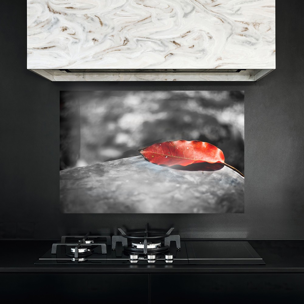 Kırmızı Yaprak ve Siyah-Beyaz Arka Plan Cam Ocak Arkası Koruyucu – Modern Minimal Panel