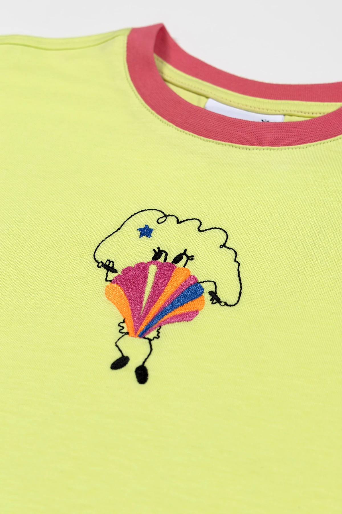 Hey J'oyster Crop T-Shirt ve Pinky Smiles Tül Etek