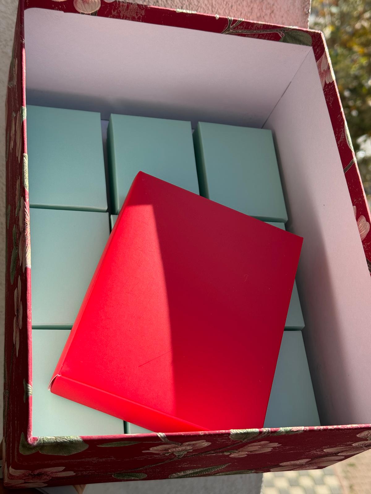 10 Lu Advent Calendar Paketi