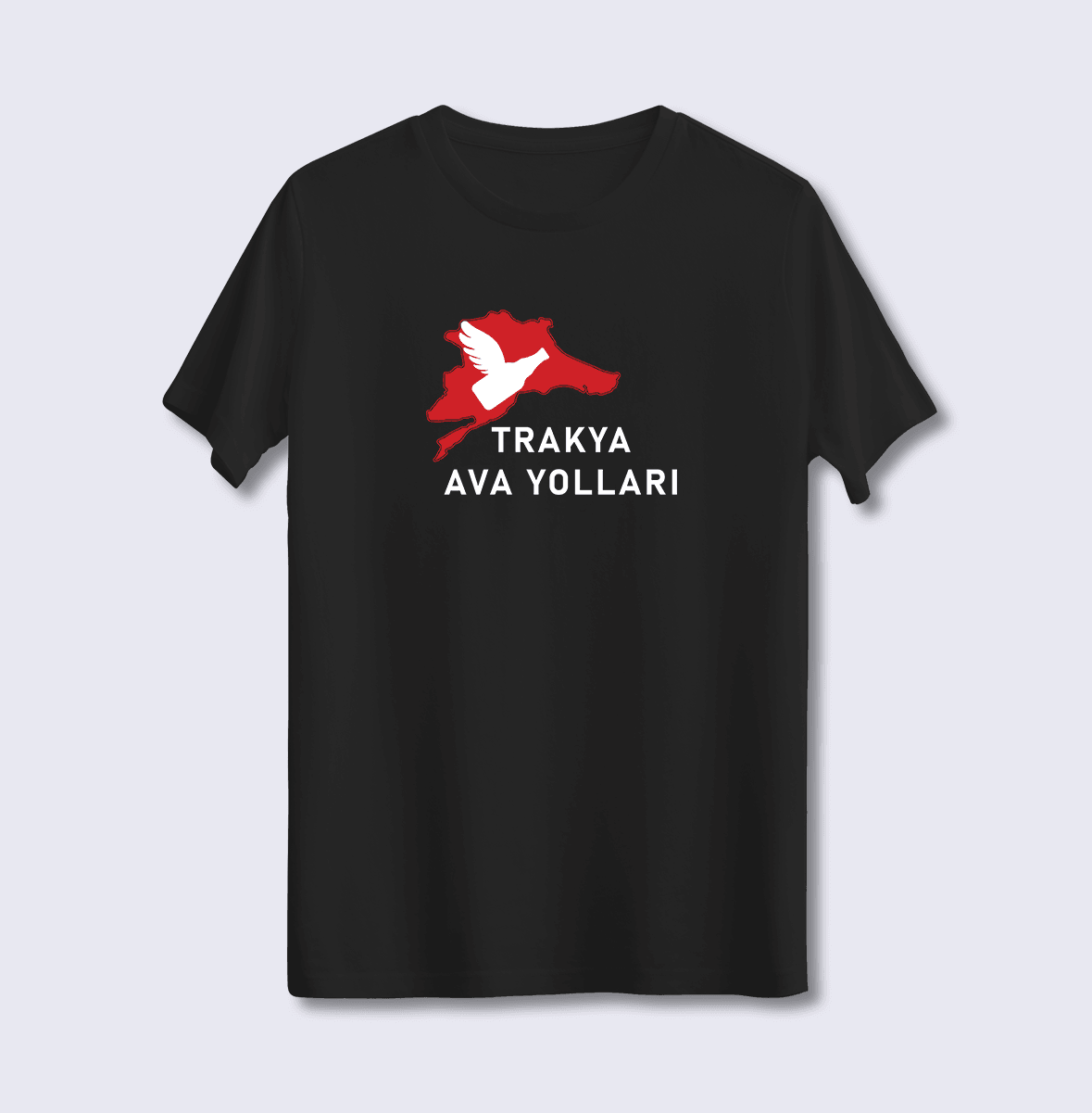 Aritalı Ava Yolları (Üniseks Tişört)