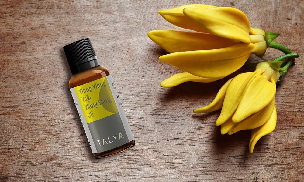 Ylang Ylang Yağı 20 ml