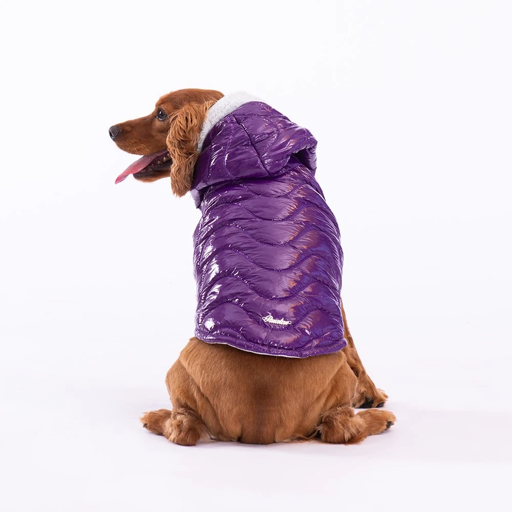 PawStar More Light Wave Yelek Küçük ve Orta Irk Yağmurluk