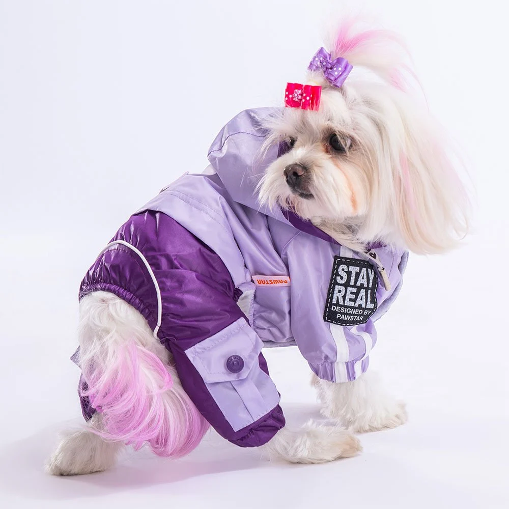 PawStar Lila Mor Bicolor Tulum Yağmurluk Küçük ve Orta Irk