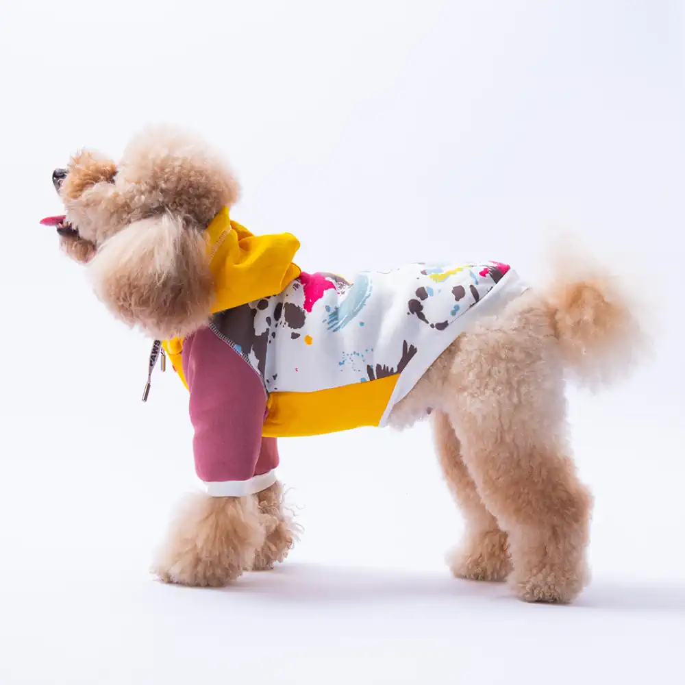PawStar Sarı Rio Hoodie Küçük ve Orta Irk