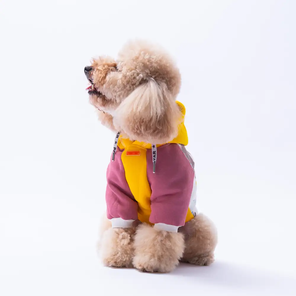 PawStar Sarı Rio Hoodie Küçük ve Orta Irk