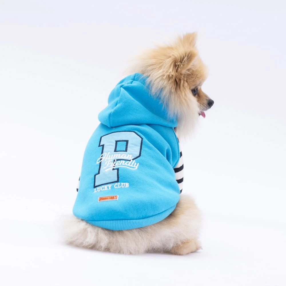 PawStar Turkuaz Lucky Club Hoodie Küçük ve Orta Irk