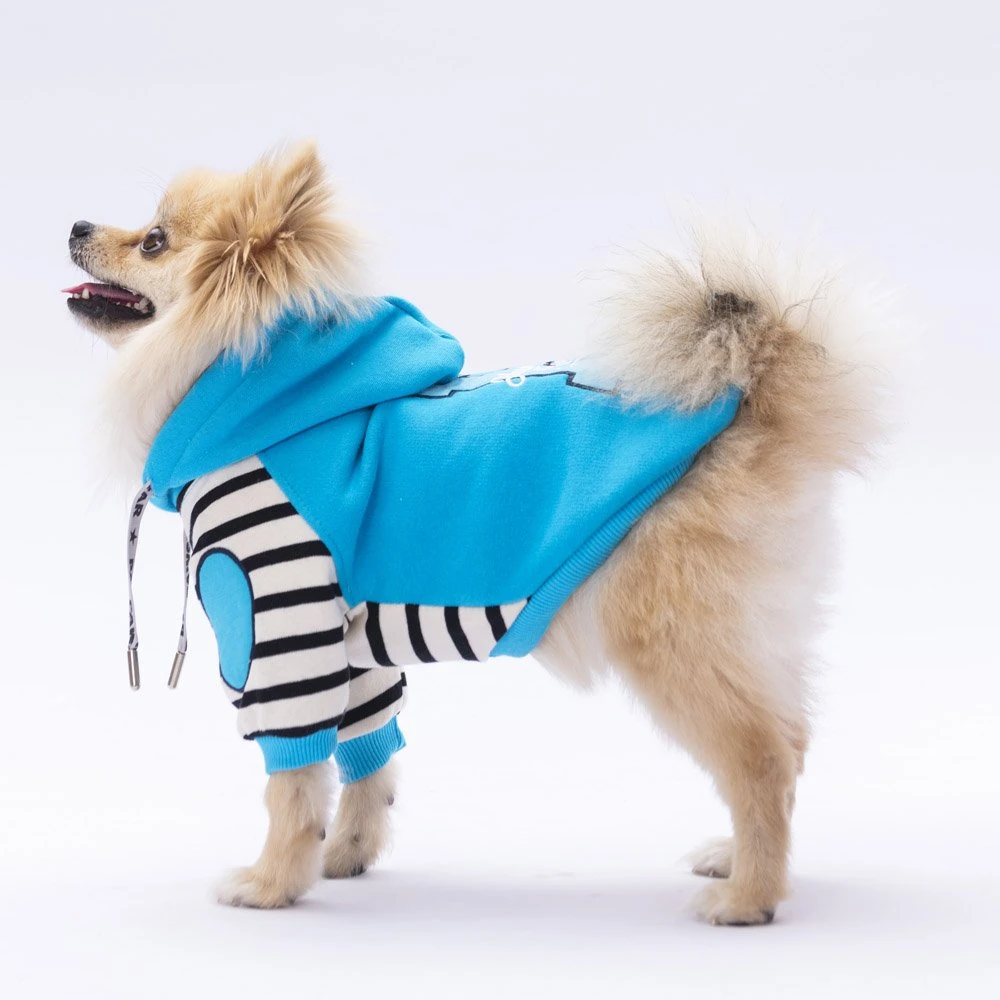 PawStar Turkuaz Lucky Club Hoodie Küçük ve Orta Irk