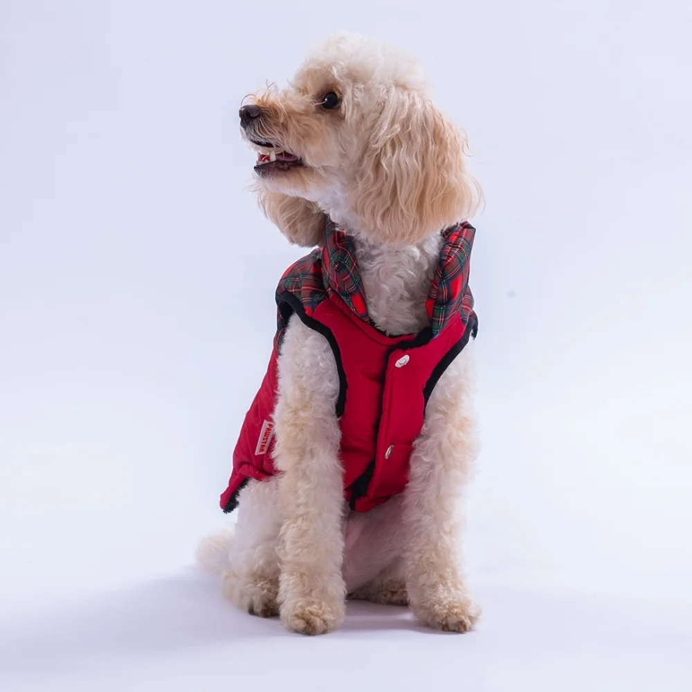 PawStar 25101 Kırmızı Elgin Paws Yelek Küçük ve Orta Irk