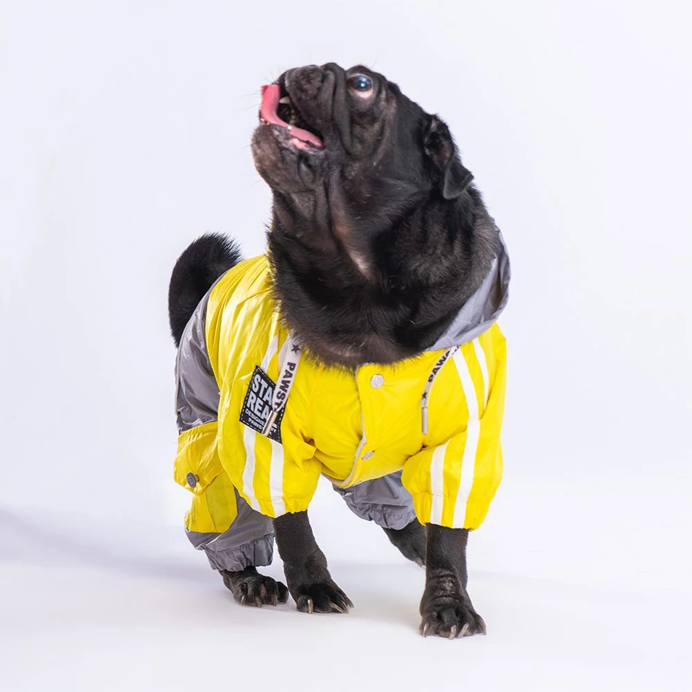 PawStar Sarı Gri Bicolor Tulum Yağmurluk Küçük ve Orta Irk