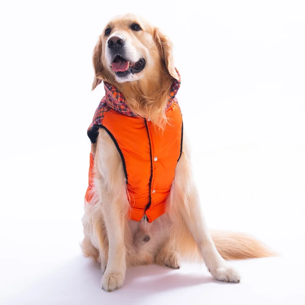 PawStar 25151 Turuncu Elgin Paws Büyük Irk Yelek