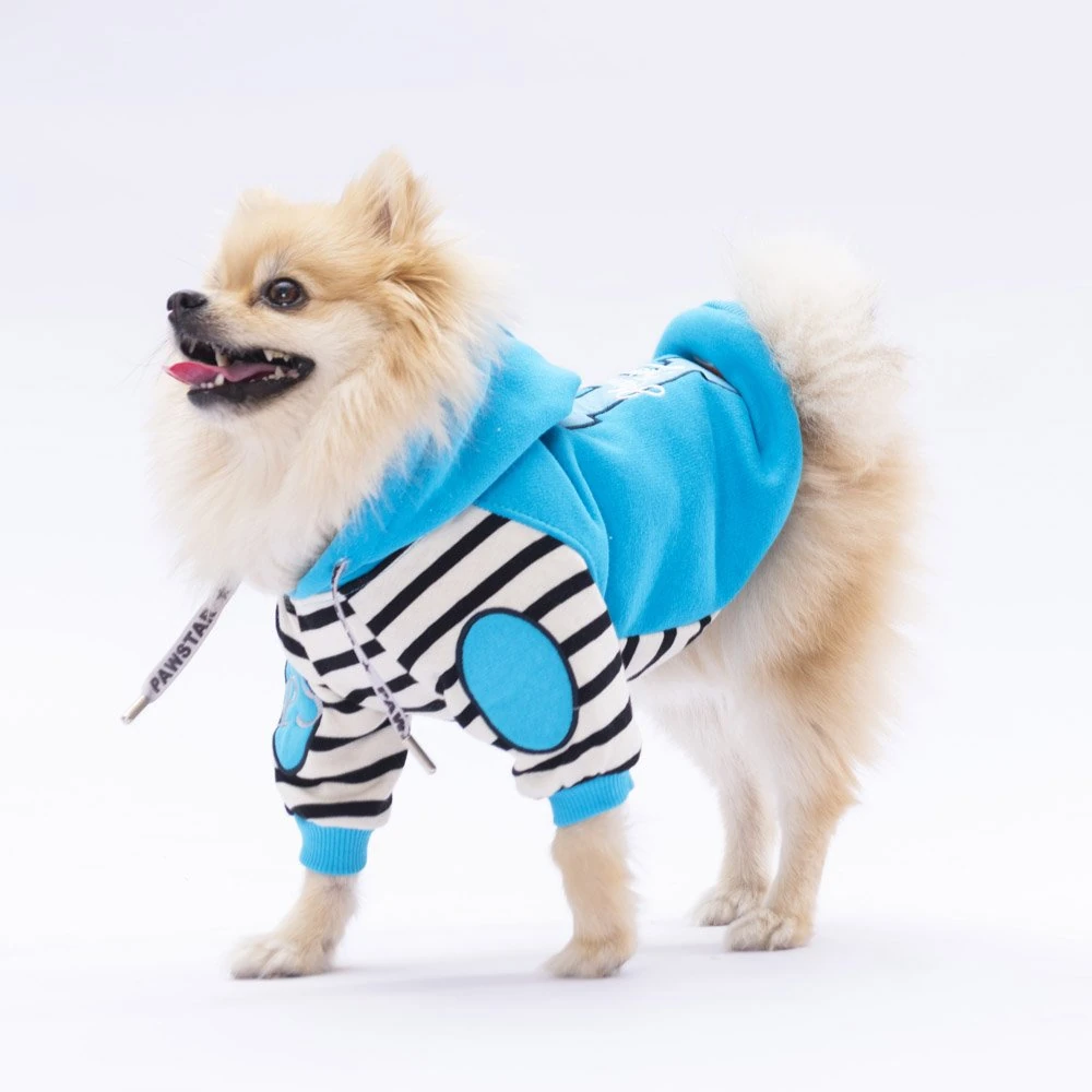 PawStar Turkuaz Lucky Club Hoodie Küçük ve Orta Irk