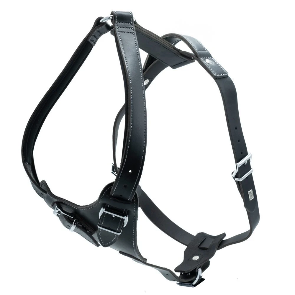 Doggie Gerçek Deriden El Yapımı Dragon Model Köpek Göğüs Tasması XL-3x75-90cm - Black