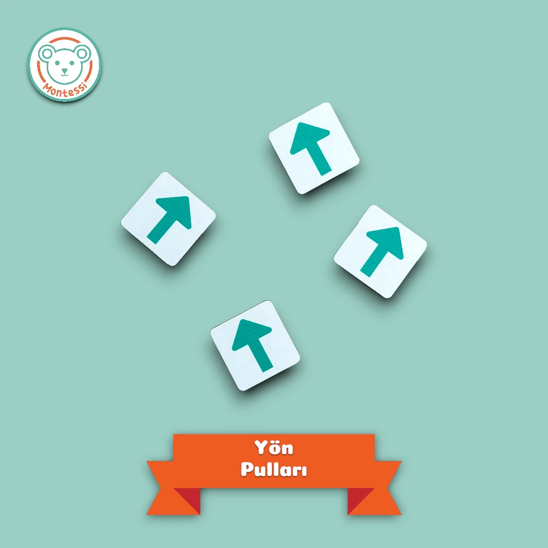 Katmanlı Puzzle, Koala İle Yön Bul, İkisi Bir Arada 